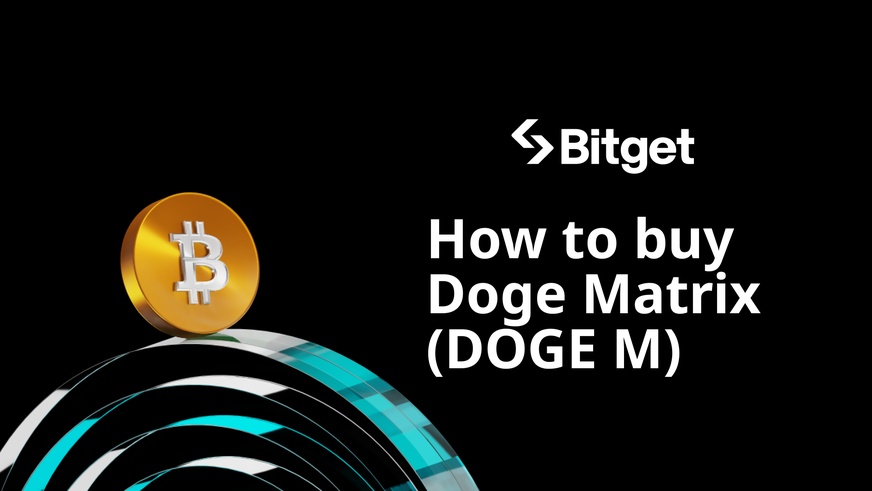 Как купить Doge Matrix